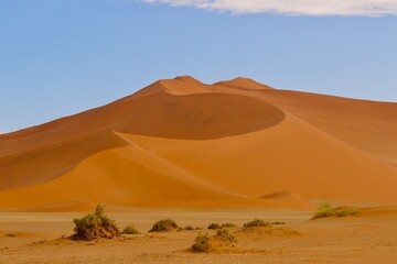 Pustynia Namib wydma © Ewa