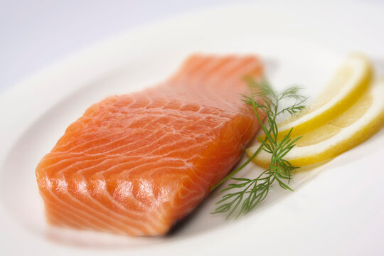 Salmon and lemon with dill on plate