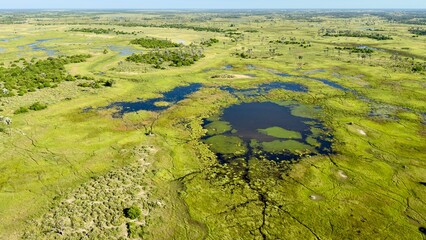 Delta Okavango z helikoptera © Ewa
