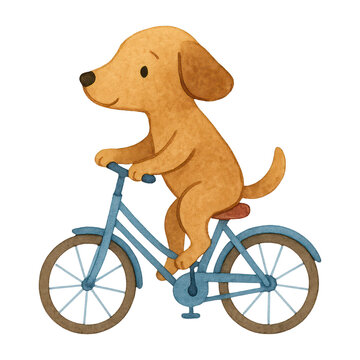 PNG Cute dog riding bicycle