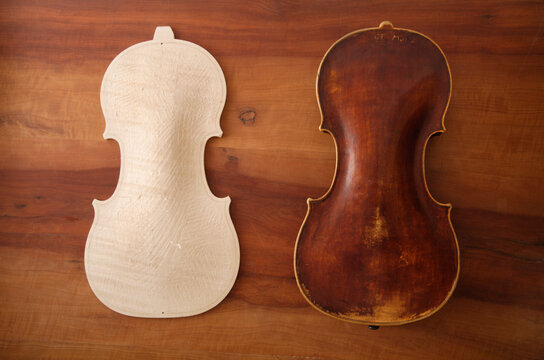 Unfinished and varnished violin backs on a wooden workbench