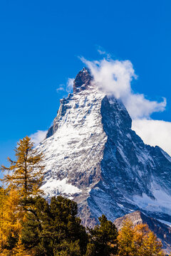Switzerland, Valais, Zermatt, Matterhorn, trees in autumn