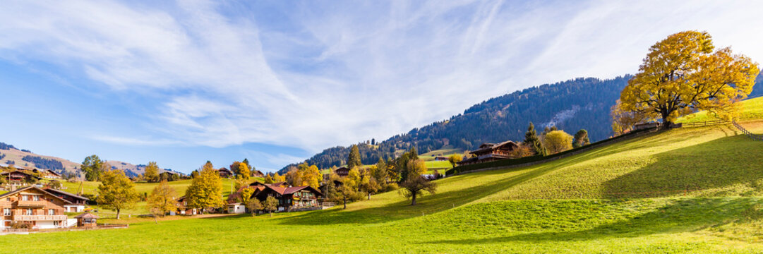 Switzerland, Canton of Bern, Gstaad, alpine meadow and farmhouses