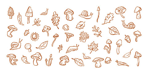 Obraz premium Hand drawn autumn forest set with mushrooms, leaves, acorns, snails, slugs and botanical woodland elements in a playful brown line art style.