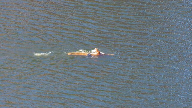 A single swimmer floating calmly in the rippling water of a serene river or lake