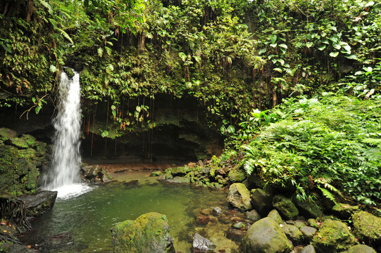 Dominica, Morne Trois Pitons, tourists visiting Emerald Pool