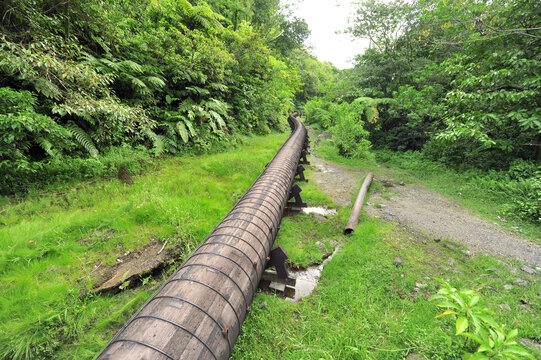 Dominica, Morne Trois Pitons, pipeline through the forest