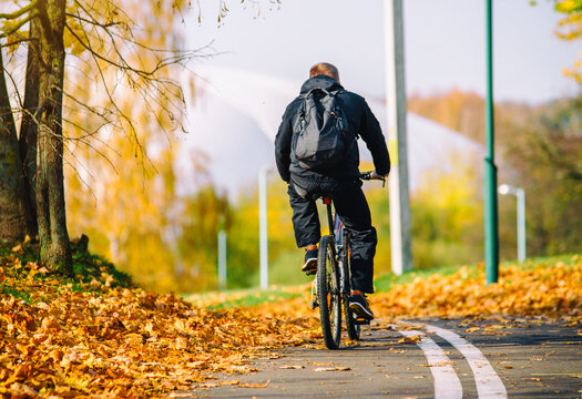 Cyclist ride on the bike path in the city Park
