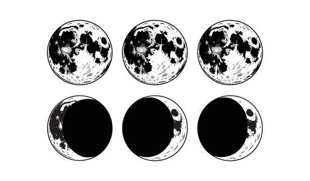Detailed Moon Phases Vector Set featuring Realistic Full Moons and Crescents with Detailed Surface Craters for Esoteric Astronomy Designs
