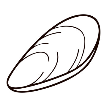 Mussel Shell Line Art - Shellfish Vector Illustration for Seafood Restaurant Menus, Market Logos, and Marine Packaging