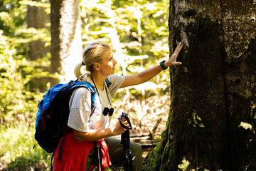 Fototapeta premium A woman examines the texture of tree bark in a vibrant, sunlit forest. She wears a backpack and holds trekking poles, embodying a spirit of adventure.