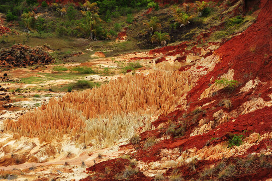 Madagascar, Tsingy Rouge, natural red chalky formation in the nature