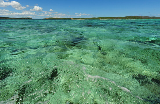 Madagascar, Ramena, Mer d'Emeraude, view of the coast from the emerald and transparent sea