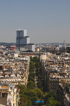 Urban skyline and tree-lined avenue in Paris