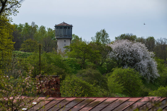 Historic wooden and brick water tower rising above blooming spring trees on a hill in Talsi, Latvia.