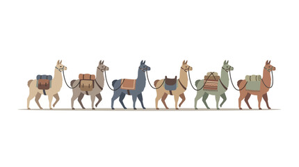 Obraz premium Flat vector illustration of a caravan of llamas carrying packs