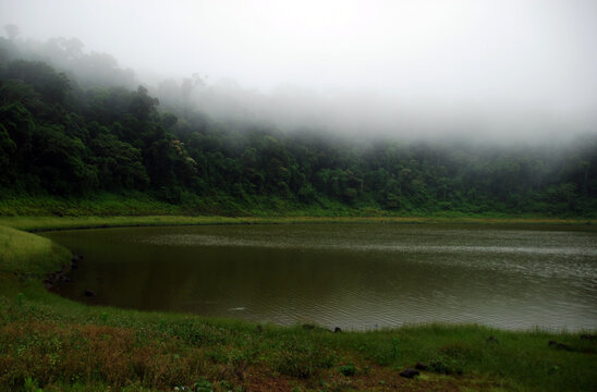 Madagascar, Montagne d'Ambre, green forest in the fog