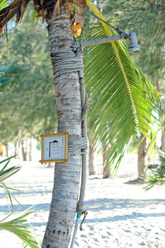 Madagascar, Morondava, shower in palm tree