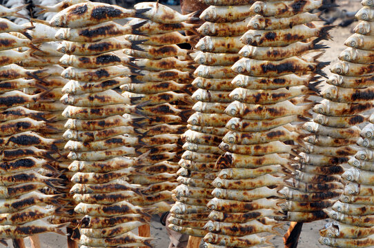Madagascar, Morondava, Kimoni, close up on local grilled fish in high quantity