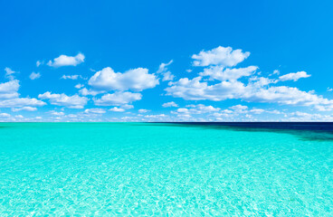 Beach and beautiful tropical sea. Blue sky and white clouds. © Pakhnyushchyy