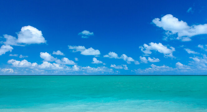 tropical beach in Maldives with few palm trees and blue lagoon