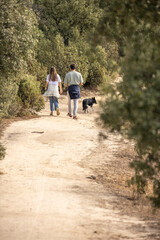 Fototapeta premium Distant view of a couple and their dog strolling down a sandy forest trail surrounded by lush greenery.