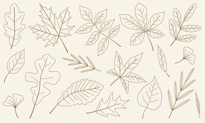 Fototapeta premium Minimalist autumn leaf outlines on beige background. Botanical illustration perfect for seasonal design