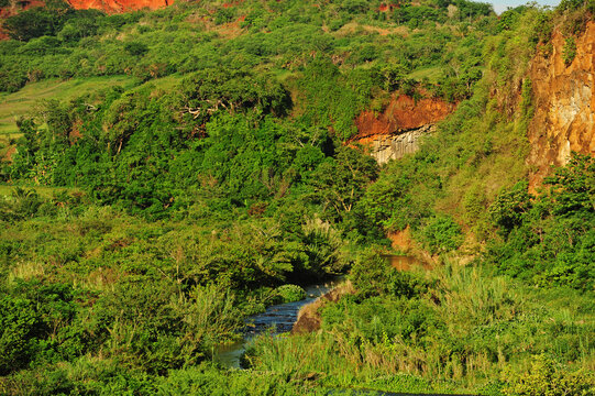 Madagascar, Inland, river stream amid the vegetation
