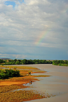 Madagascar, Inland, red river amid vegetation
