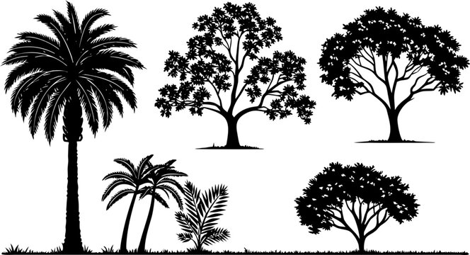 Collection of black silhouettes of tropical trees and palm plants