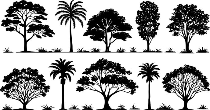 Collection of black silhouettes of various trees and palm plants