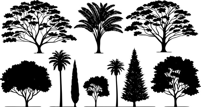 Collection of black silhouettes of deciduous, palm, and pine trees