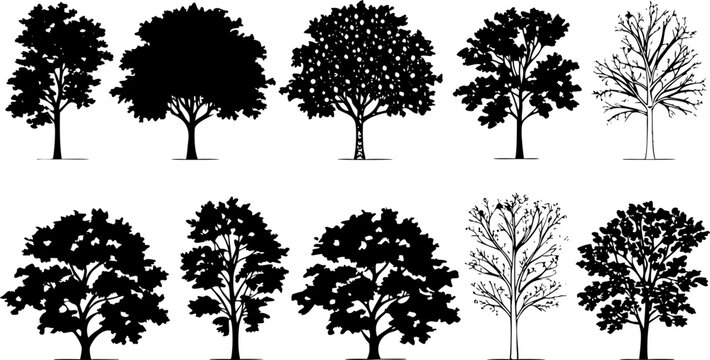 Collection of ten black and white silhouettes of various tree species