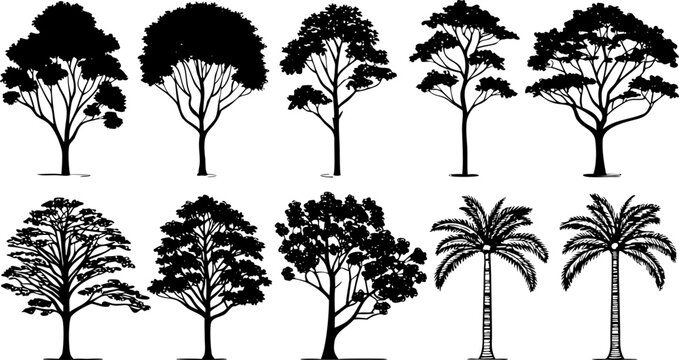 Collection of ten architectural tree silhouettes on white background