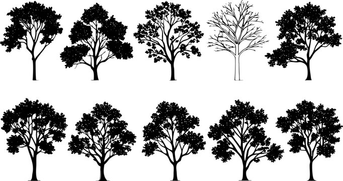 Collection of ten hand drawn tree silhouettes on white background