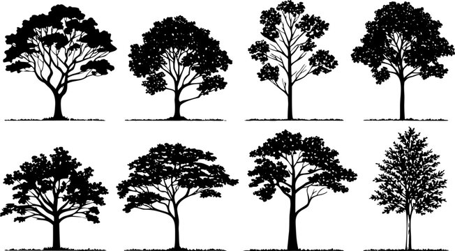Eight distinct black and white tree silhouettes on white background