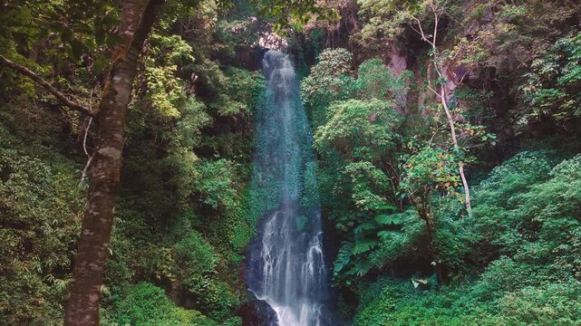 Aerial drone view of Coban Kaca waterfall flowing through dense tropical forest in Malang, East Java, Indonesia. The narrow waterfall cascades between lush green trees, creating a peaceful and seclude