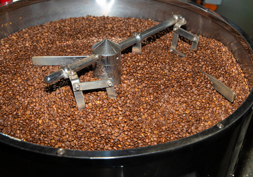 Coffee roasting machine cooling tray full of freshly roasted coffee beans close up. Industrial roaster cooling bin with rotating metal arm processing aromatic arabica seeds. Factory production and cof