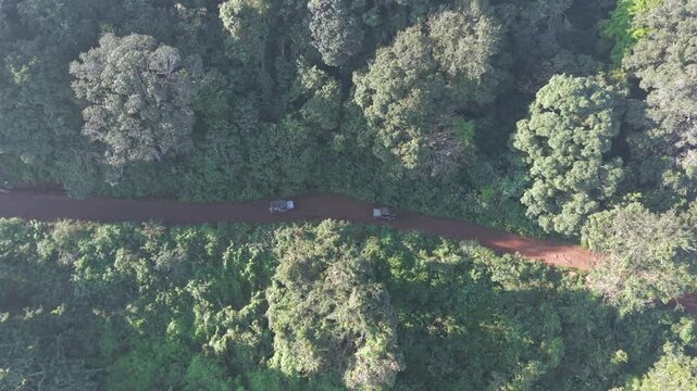 Aerial View of Misty Forest Hills in Lambasingi India