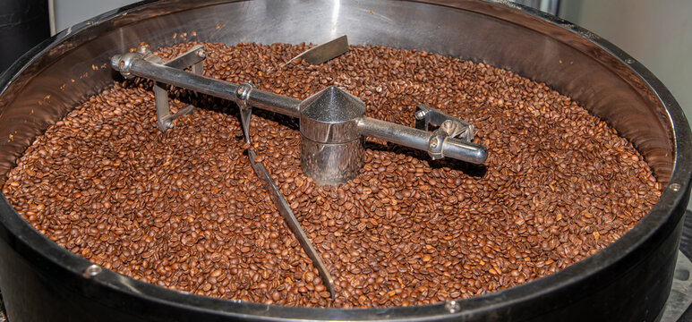 Coffee roasting machine cooling tray full of freshly roasted coffee beans close up. Industrial roaster cooling bin with rotating metal arm processing aromatic arabica seeds. Factory production and cof