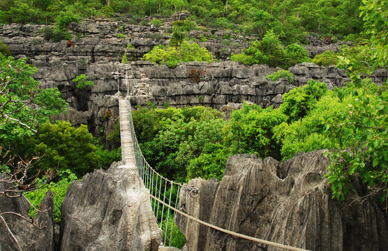 Madagascar, National Park of Ankarana, Men crossing canopy bridge throughTsingy spike rocks amid the green forest