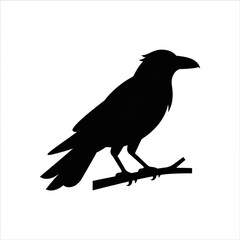 Fototapeta premium Raven silhouette on a branch. Black crow icon isolated on a white background.