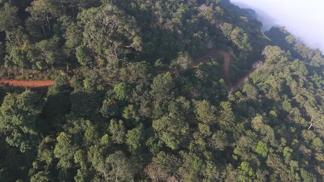 Aerial View of Misty Forest Hills in Lambasingi India