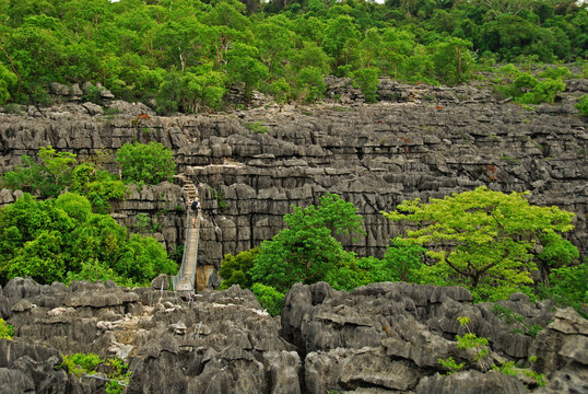 Madagascar, National Park of Ankarana, Men crossing canopy bridge throughTsingy spike rocks amid the green forest