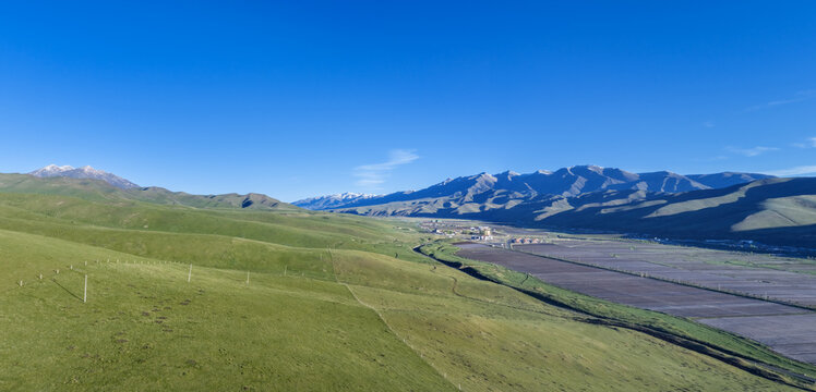 Rolling Green Grasslands and Snow-Capped Maya Mountain Range, Gansu Plateau