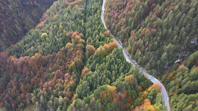 Drone following a car through the alpine forest road to Predil Pass, Slovenia.