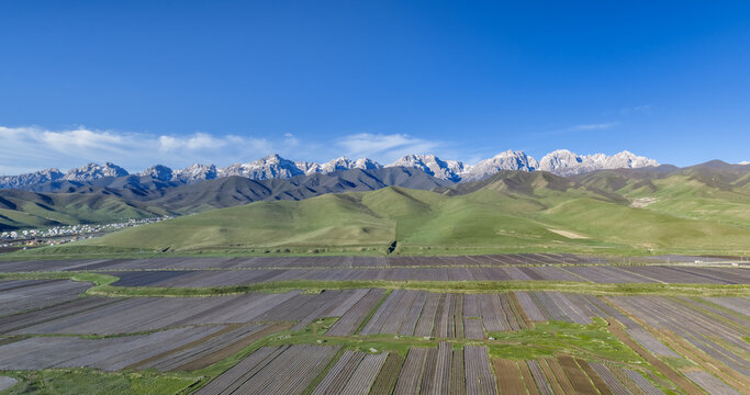 Maya Snow Mountain Skyline Over Alpine Grasslands and Cropland, Wuwei Gansu, China.