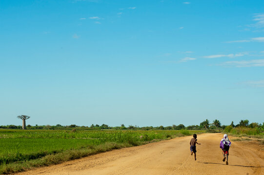 Madagascar, Morondava, Baobab Alley, two children running with view on Adansonia Grandidieri in the background