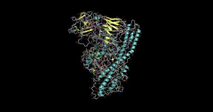 7QFP, Cryo-EM structure of Botulinum neurotoxin serotype E, 3D model 4K spinning