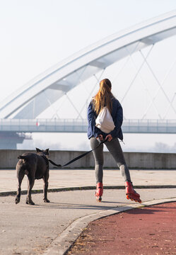 Woman Rollerblading with Large Dog Outdoors